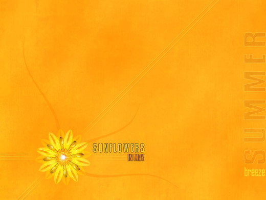381193 (a): :1024x768